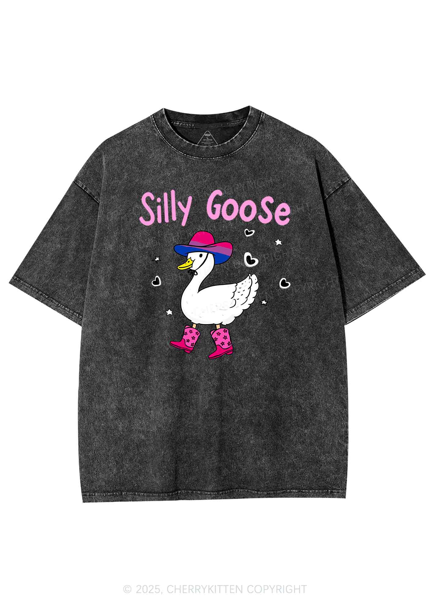 Silly Goose Bisexual Pride Y2K Shirts Washed Tee Cherrykitten