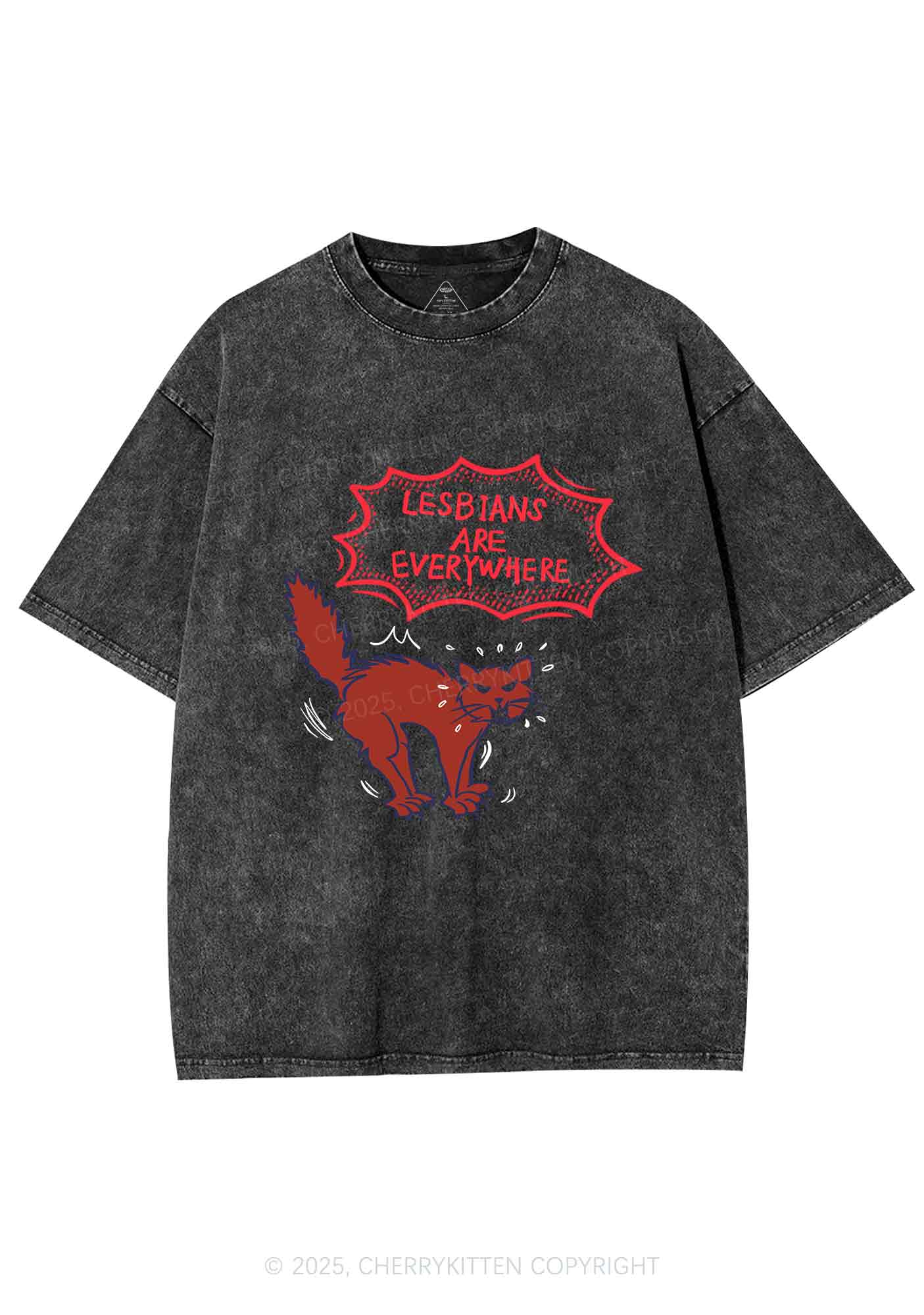 Lesbians Are Everywhere Y2K Shirts Washed Tee Cherrykitten