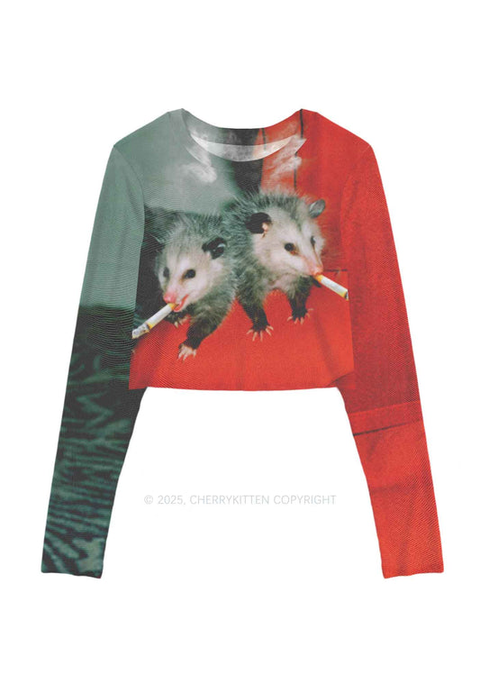 Smoking Badass Rats Y2K Mesh Long Sleeve Crop Top Cherrykitten