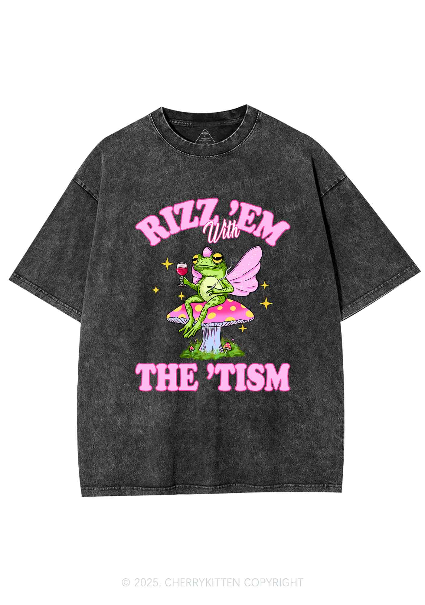 Fairy Frog Rizz Tism Y2K Shirts Washed Tee Cherrykitten