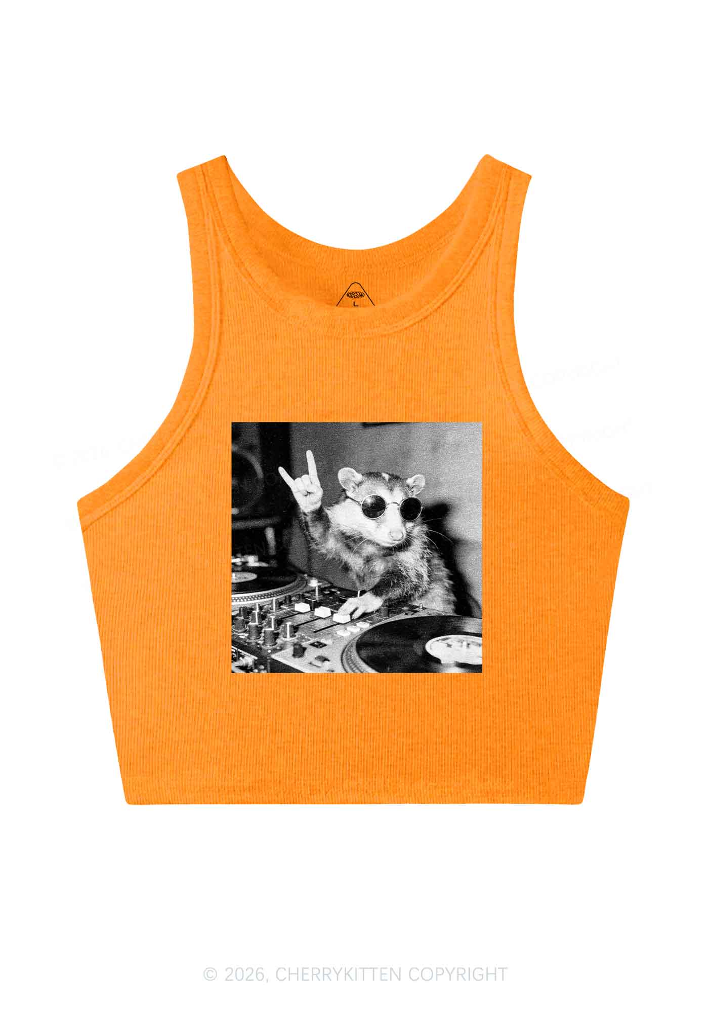 DJ Possum Y2K Crop Tank Top Cherrykitten