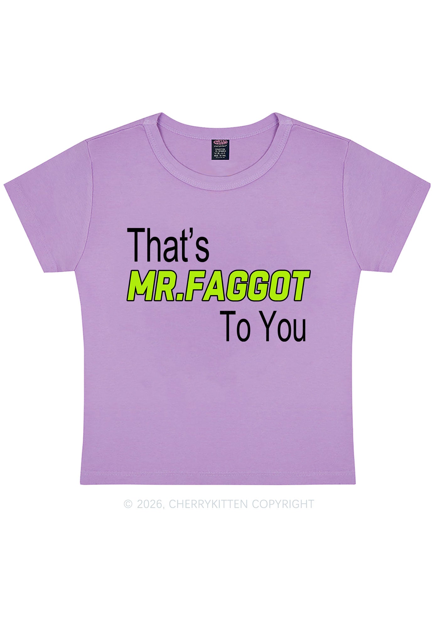 Thats Mr Faggot To You Pride Y2K Baby Tee Cherrykitten