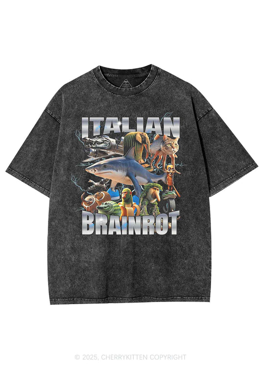 Italian Brainrot Collection Y2K Shirts Washed Tee Cherrykitten