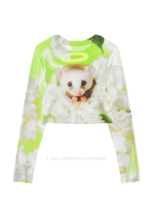 Flower Angel Ratz Y2K Mesh Long Sleeve Crop Top Cherrykitten