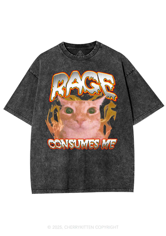 Rage Consumes Me Cat Y2K Shirts Washed Tee Cherrykitten