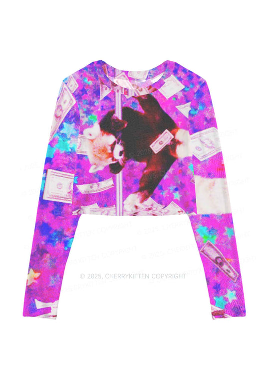 Pole Dancing Raccoon Y2K Mesh Long Sleeve Crop Top Cherrykitten