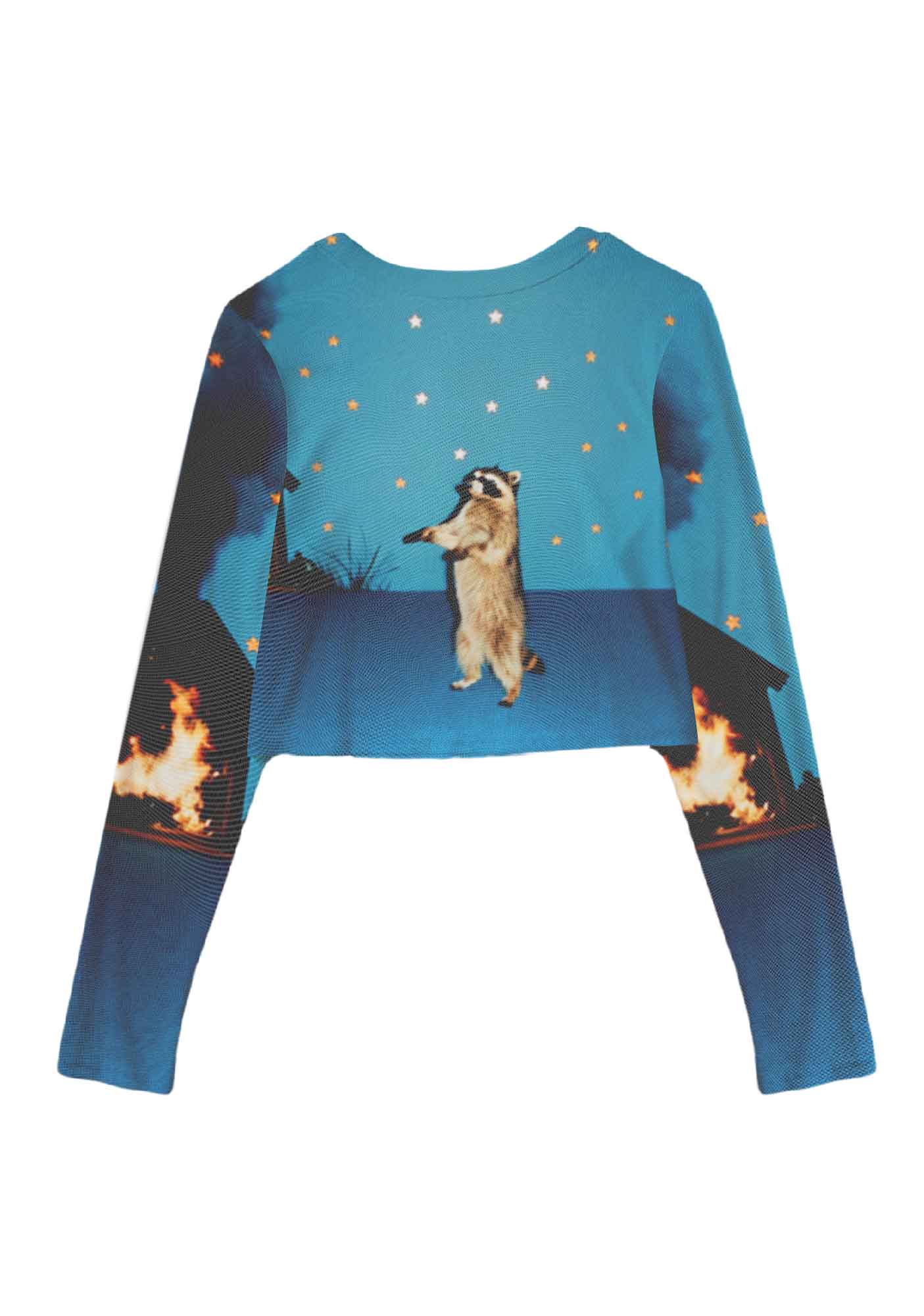 Starry Raccoon Y2K Mesh Long Sleeve Crop Top Cherrykitten
