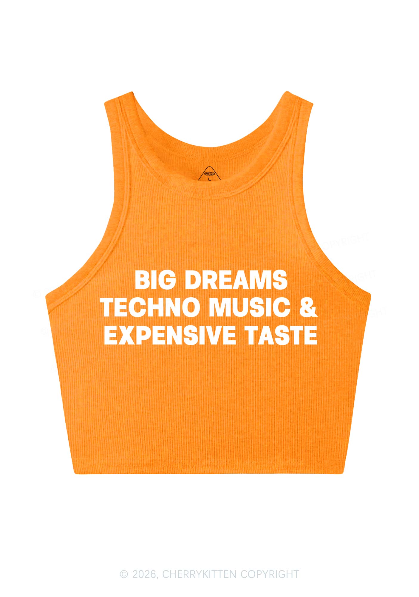 Big Dreams Techno Music Y2K Crop Tank Top Cherrykitten