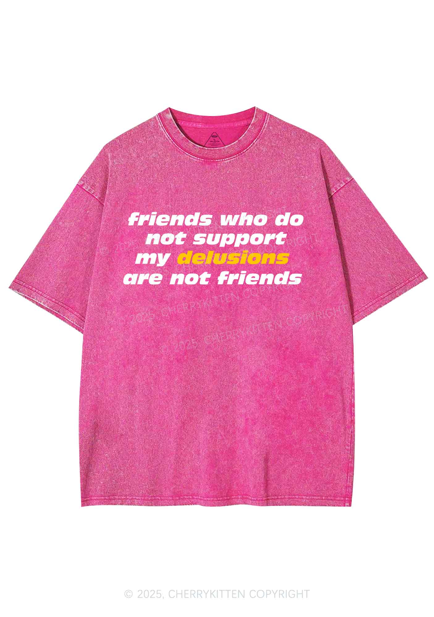 Friends Support My Delusions Y2K Shirts Washed Tee Cherrykitten