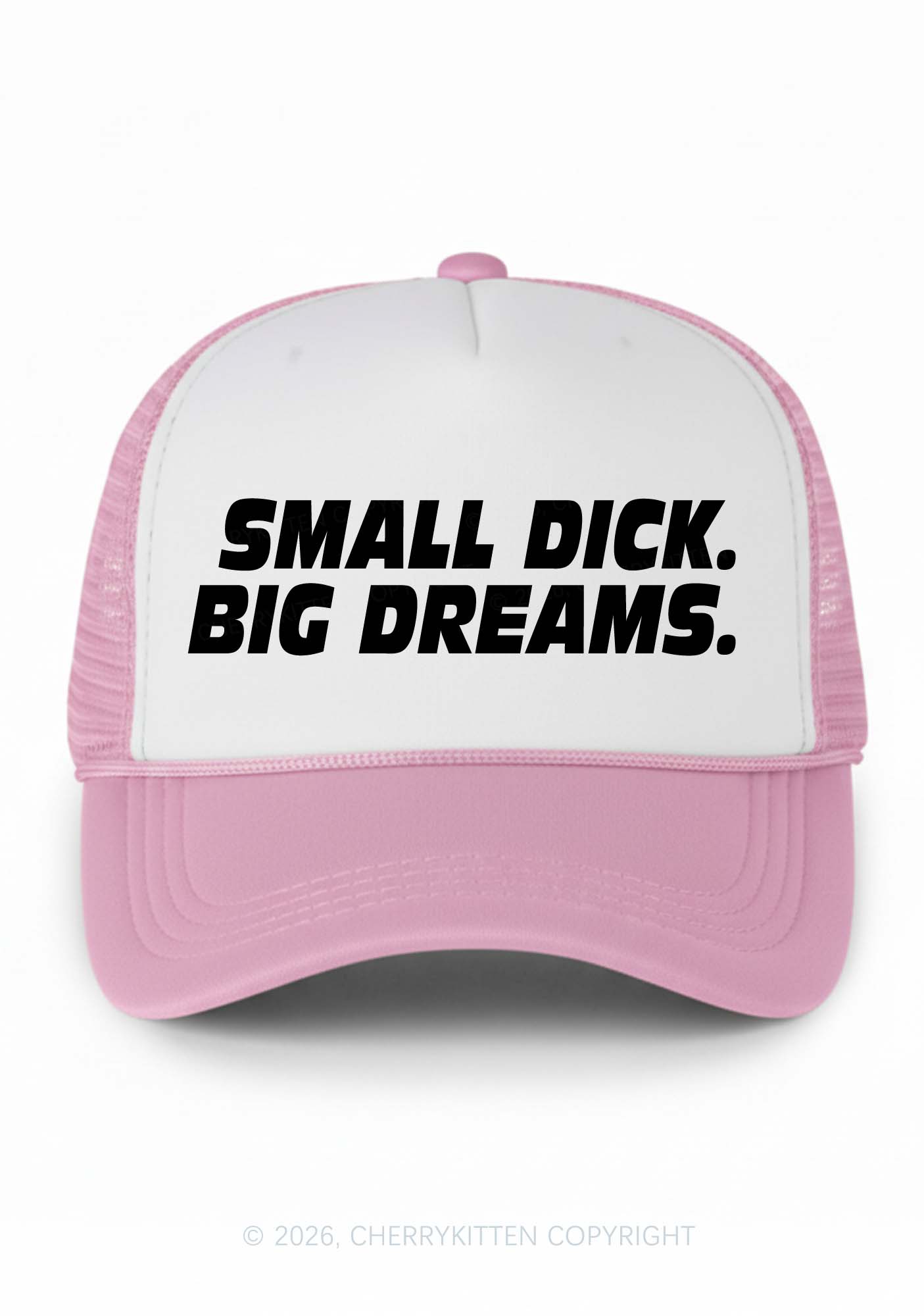 Small Dxxk Big Dreams Y2K Colorblock Trucker Hat Cherrykitten