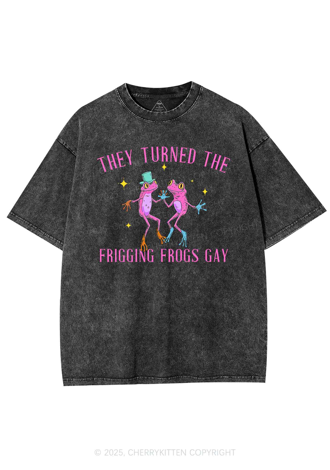 Frogs Gay Pride Y2K Shirts Washed Tee Cherrykitten