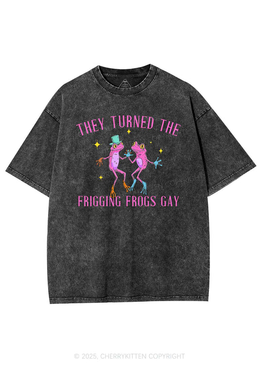 Frogs Gay Pride Y2K Shirts Washed Tee Cherrykitten