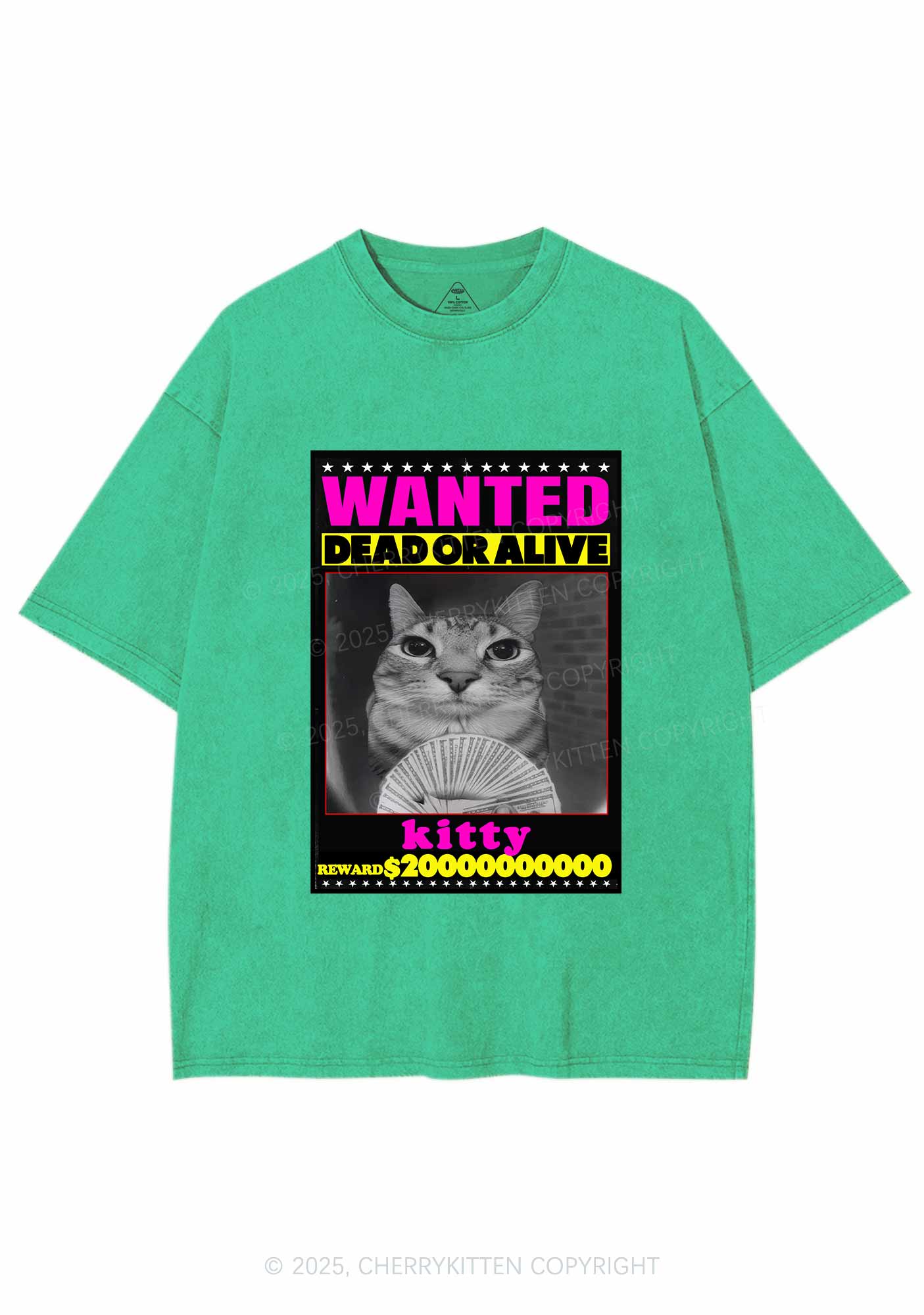 Custom Wanted Kitten Y2K Shirts Washed Tee Cherrykitten