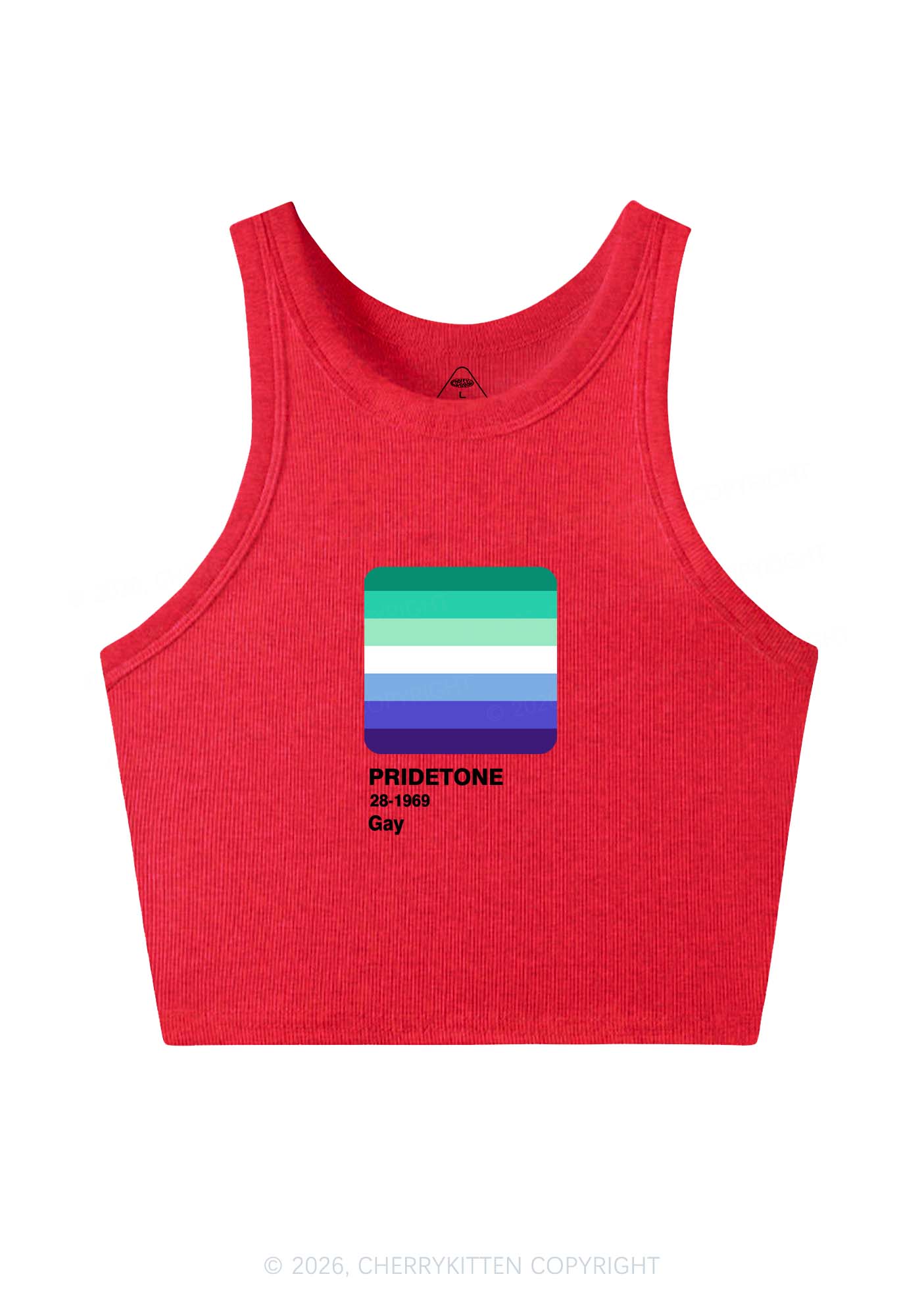 Pridetone Gay Pride Y2K Crop Tank Top Cherrykitten