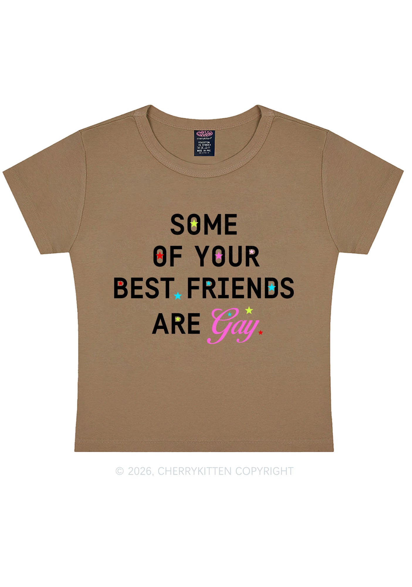 Your Best Friends Are Gay Pride Y2K Baby Tee Cherrykitten