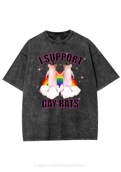Support Gay Rats Pride Y2K Shirts Washed Tee Cherrykitten