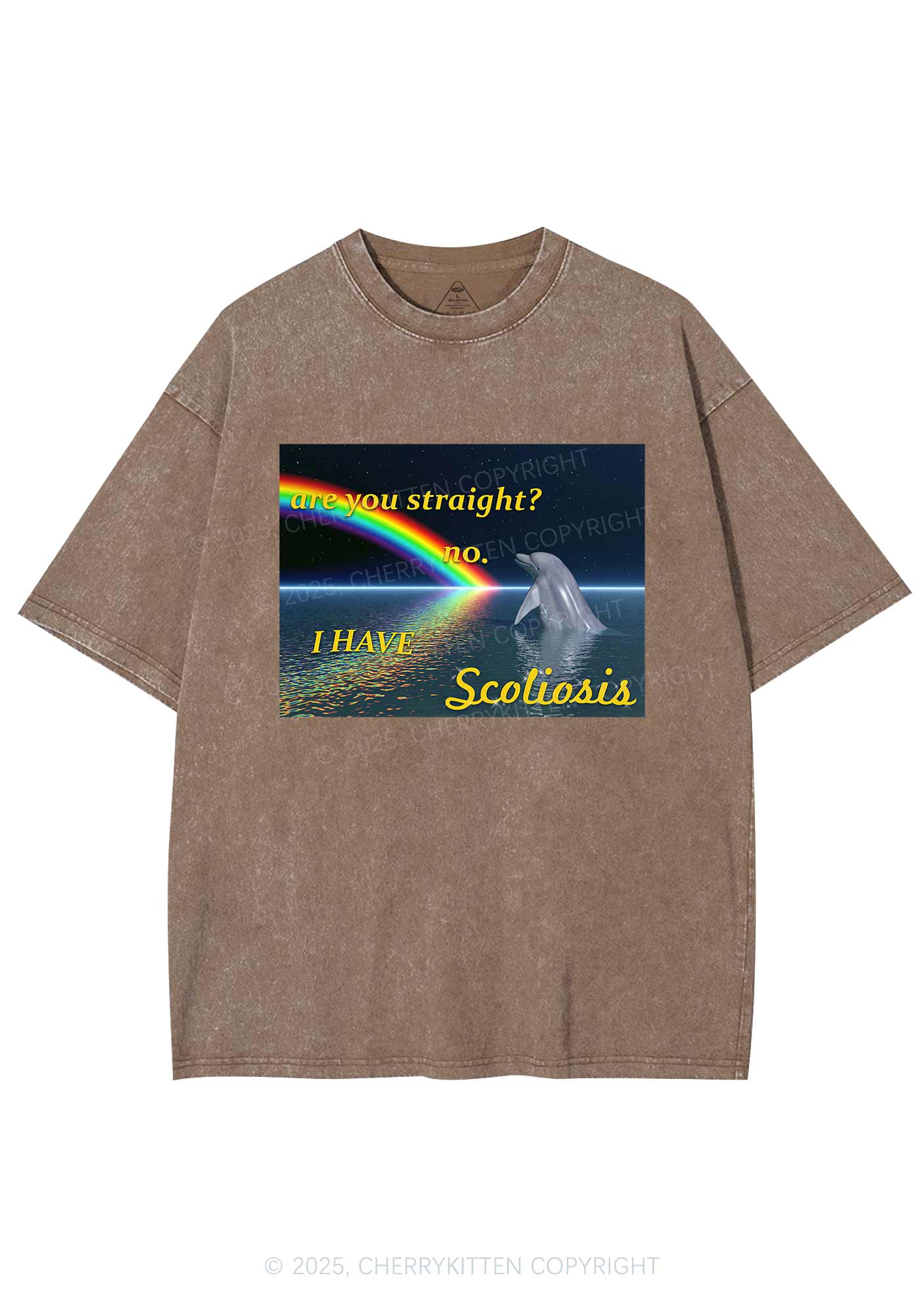 I Have Scoliosis Pride Y2K Shirts Washed Tee Cherrykitten