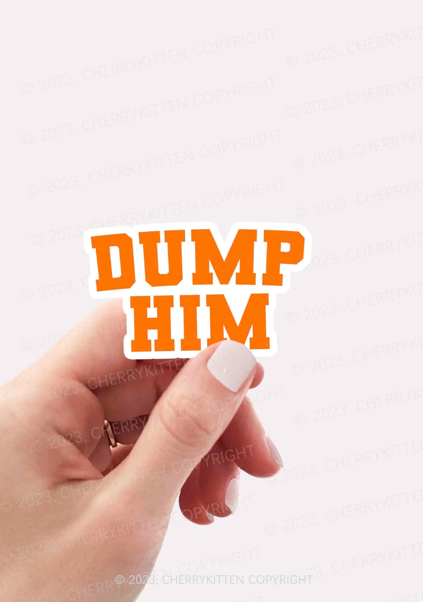 Dump Him 1Pc Y2K Sticker Cherrykitten