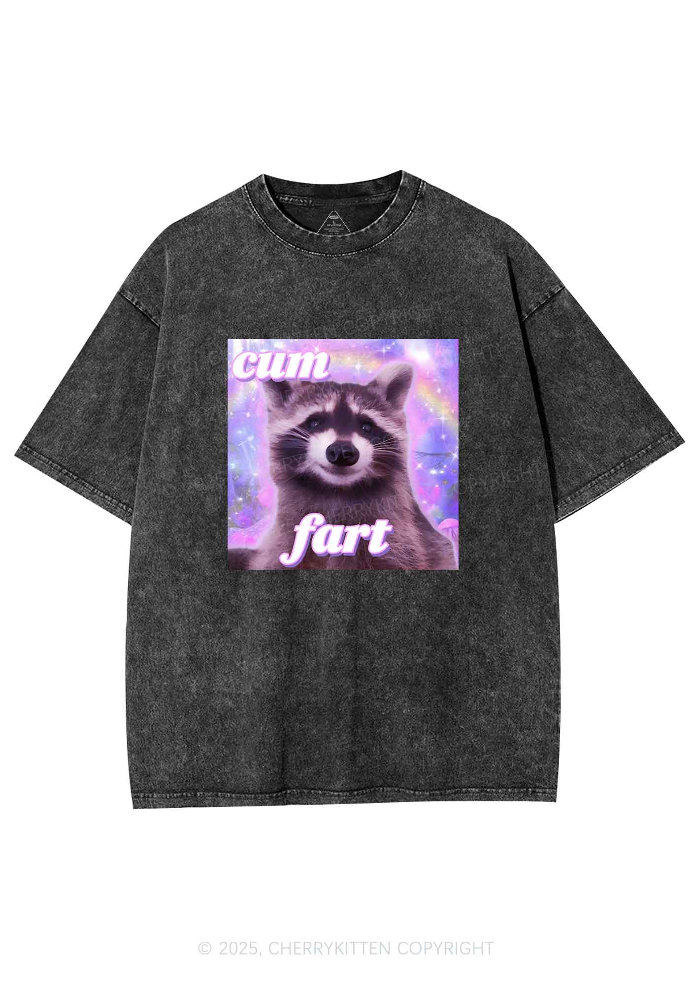 Cxm Fart Y2K Washed Tee Cherrykitten