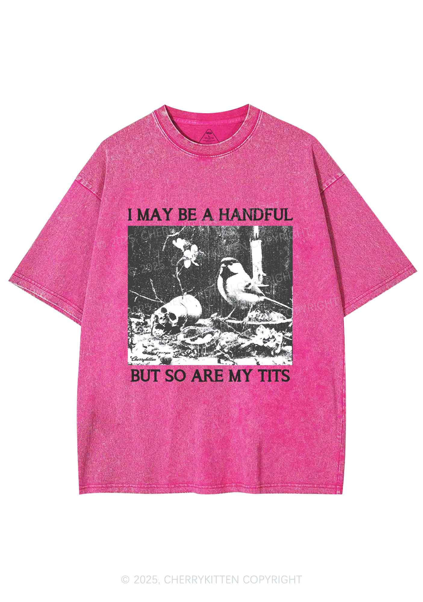 Halloween I May Be A Handful Y2K Shirts Washed Tee Cherrykitten
