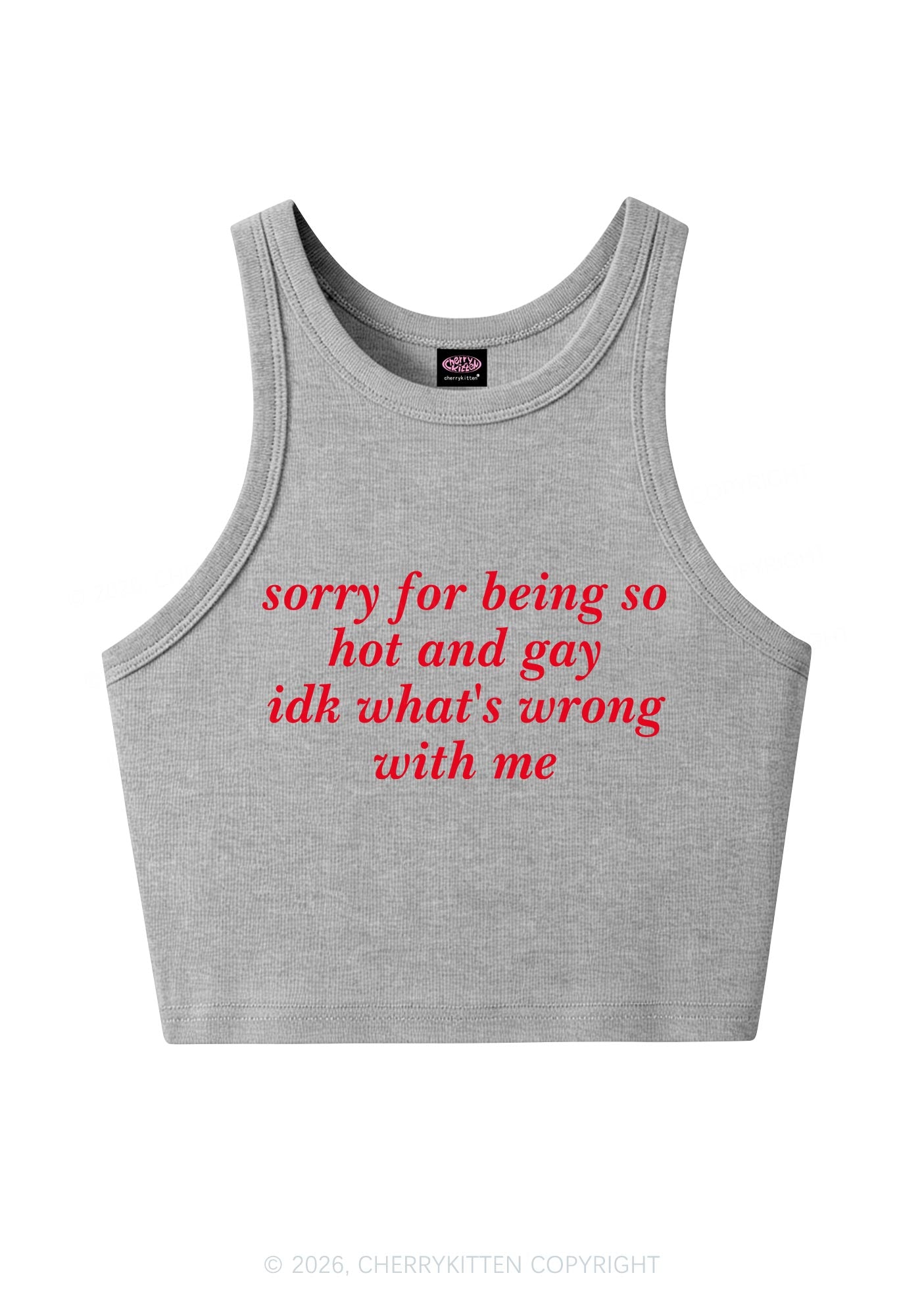 Sorry For Being Gay Pride Y2K Crop Tank Top Cherrykitten