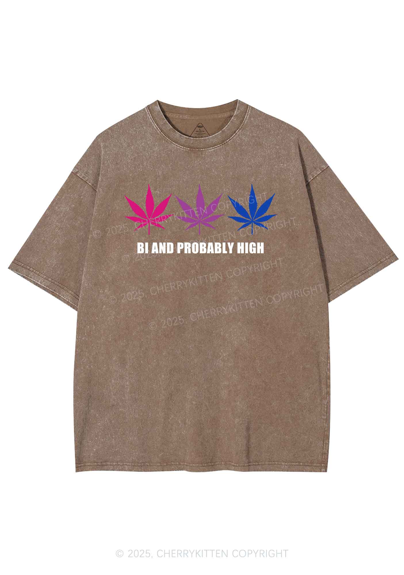 Bi Probably High Pride Y2K Shirts Washed Tee Cherrykitten