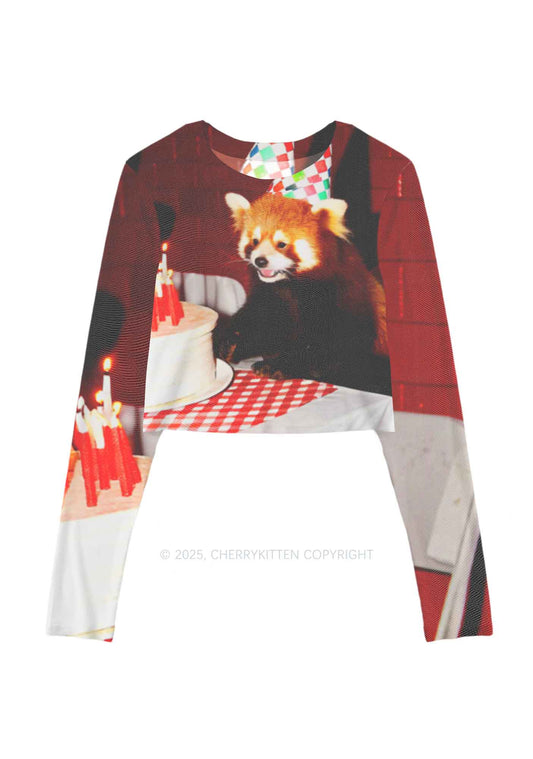 Birthday Cake Raccoon Y2K Mesh Long Sleeve Crop Top Cherrykitten