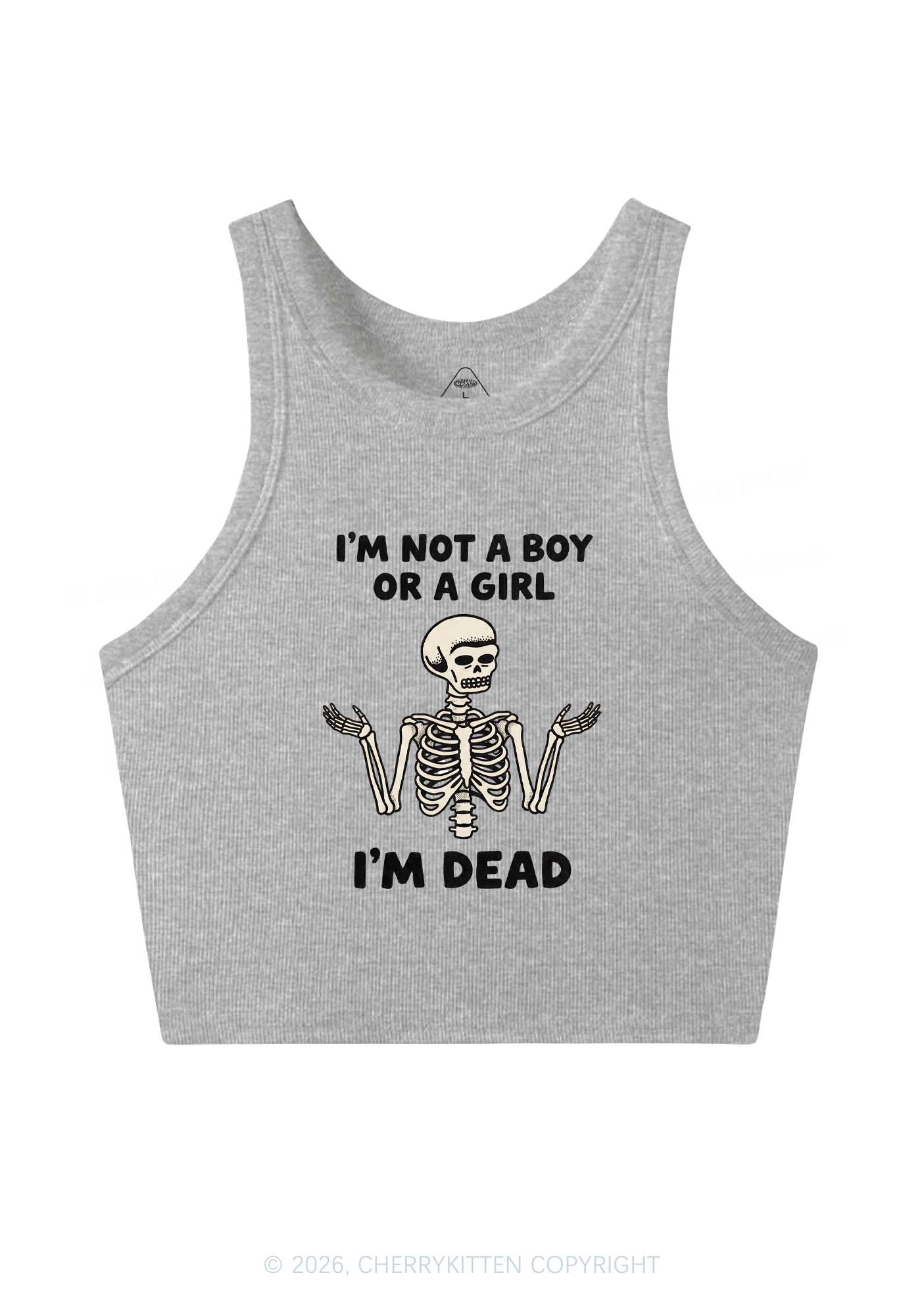 Im Not A Boy Or A Girl Pride Y2K Crop Tank Top Cherrykitten