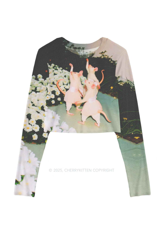 Ballet Rats Y2K Mesh Long Sleeve Crop Top Cherrykitten