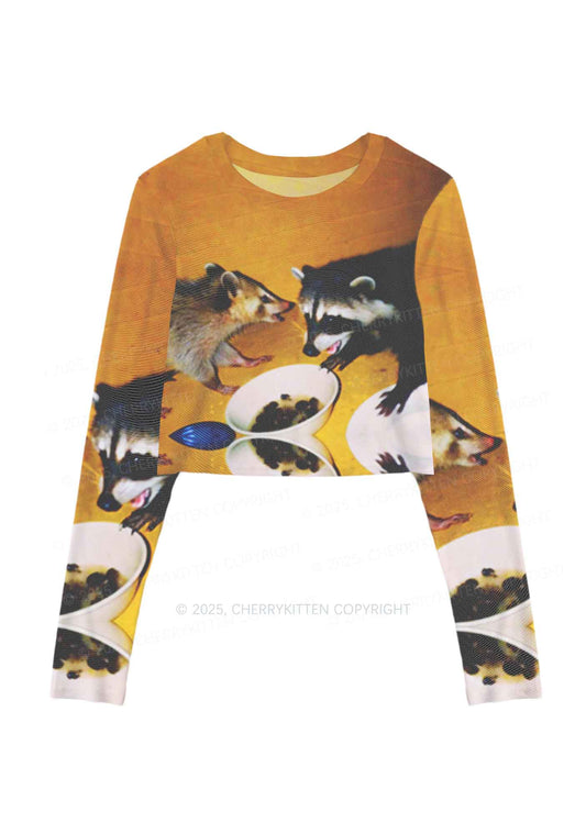 Raccoon Meal Y2K Mesh Long Sleeve Crop Top Cherrykitten