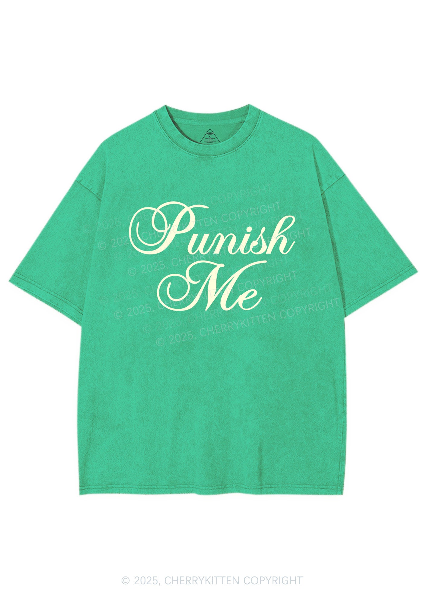 Punish Me Y2K Shirts Washed Tee Cherrykitten
