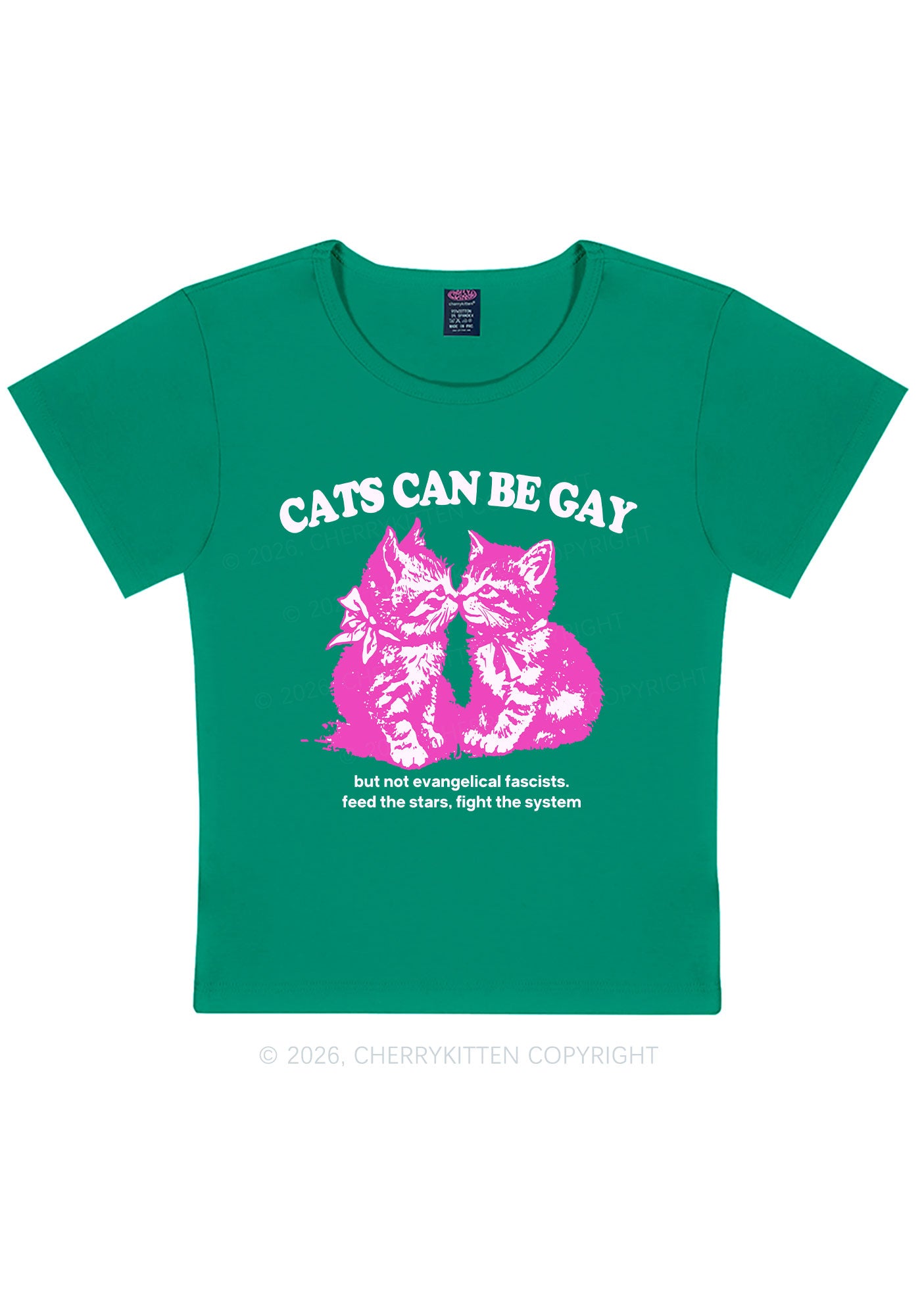 Cat Can Be Gay Pride Y2K Baby Tee Cherrykitten
