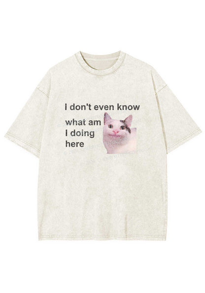 What Am I Doing Here Y2K Washed Tee Cherrykitten