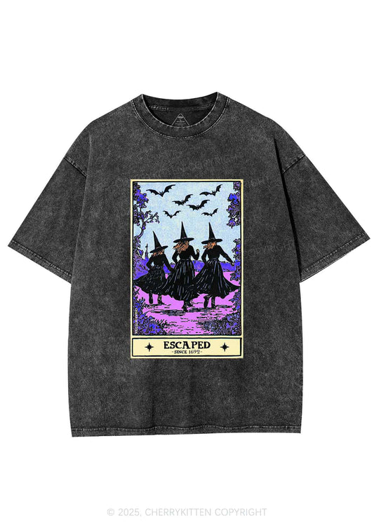 Halloween Escaped Witch Y2K Shirts Washed Tee Cherrykitten