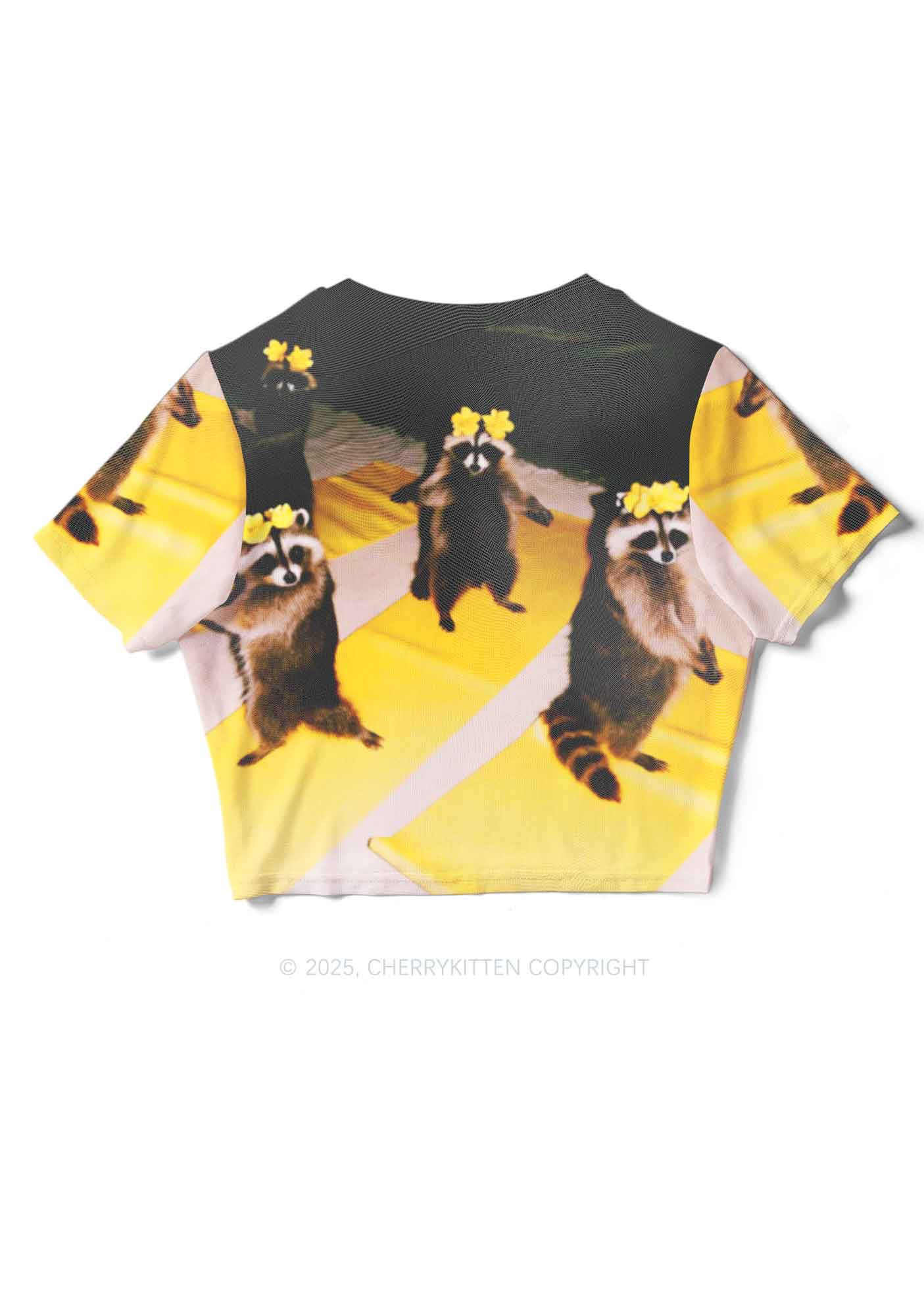 Yoga Raccoon Y2K Mesh Crop Top Cherrykitten