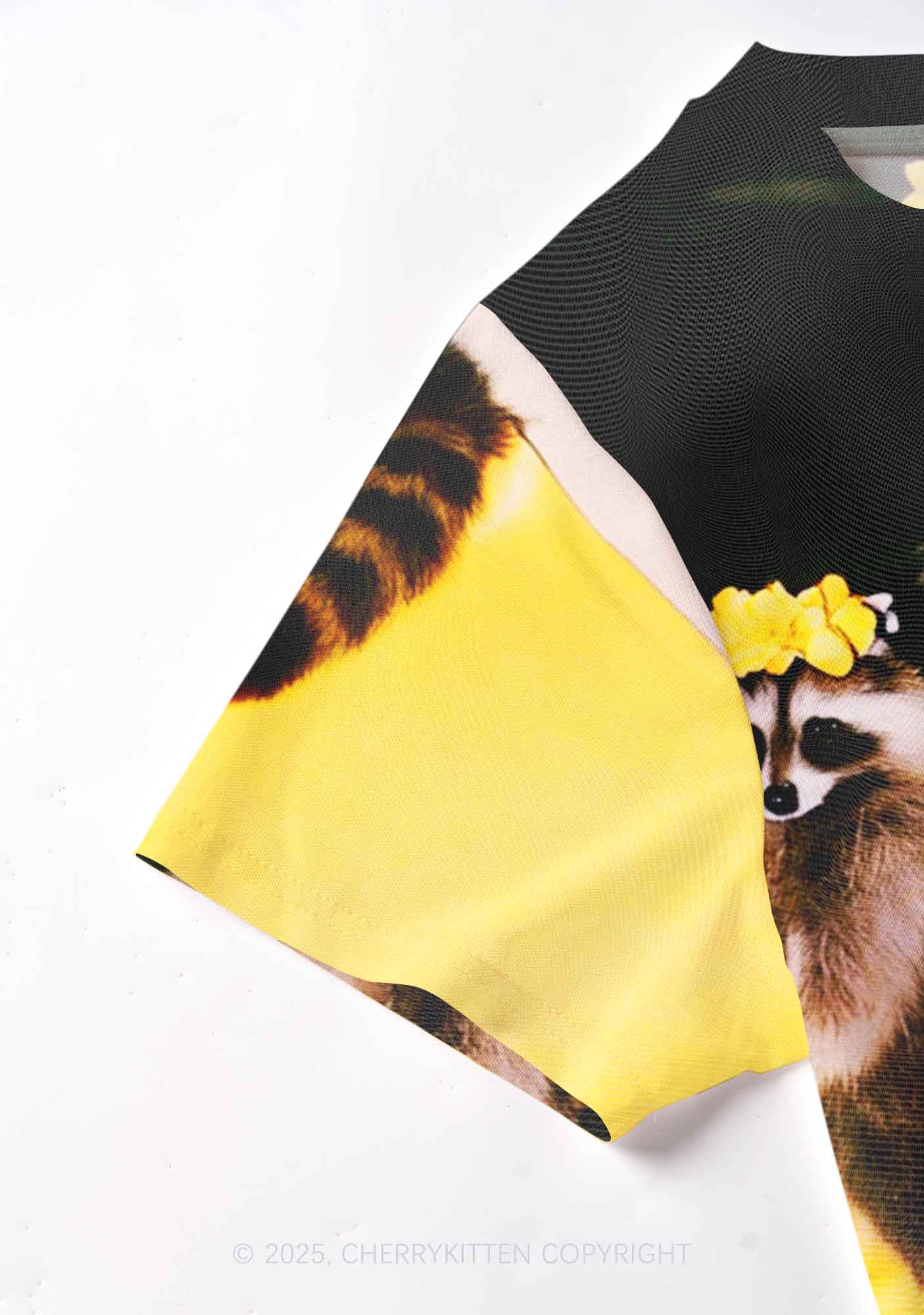 Yoga Raccoon Y2K Mesh Crop Top Cherrykitten