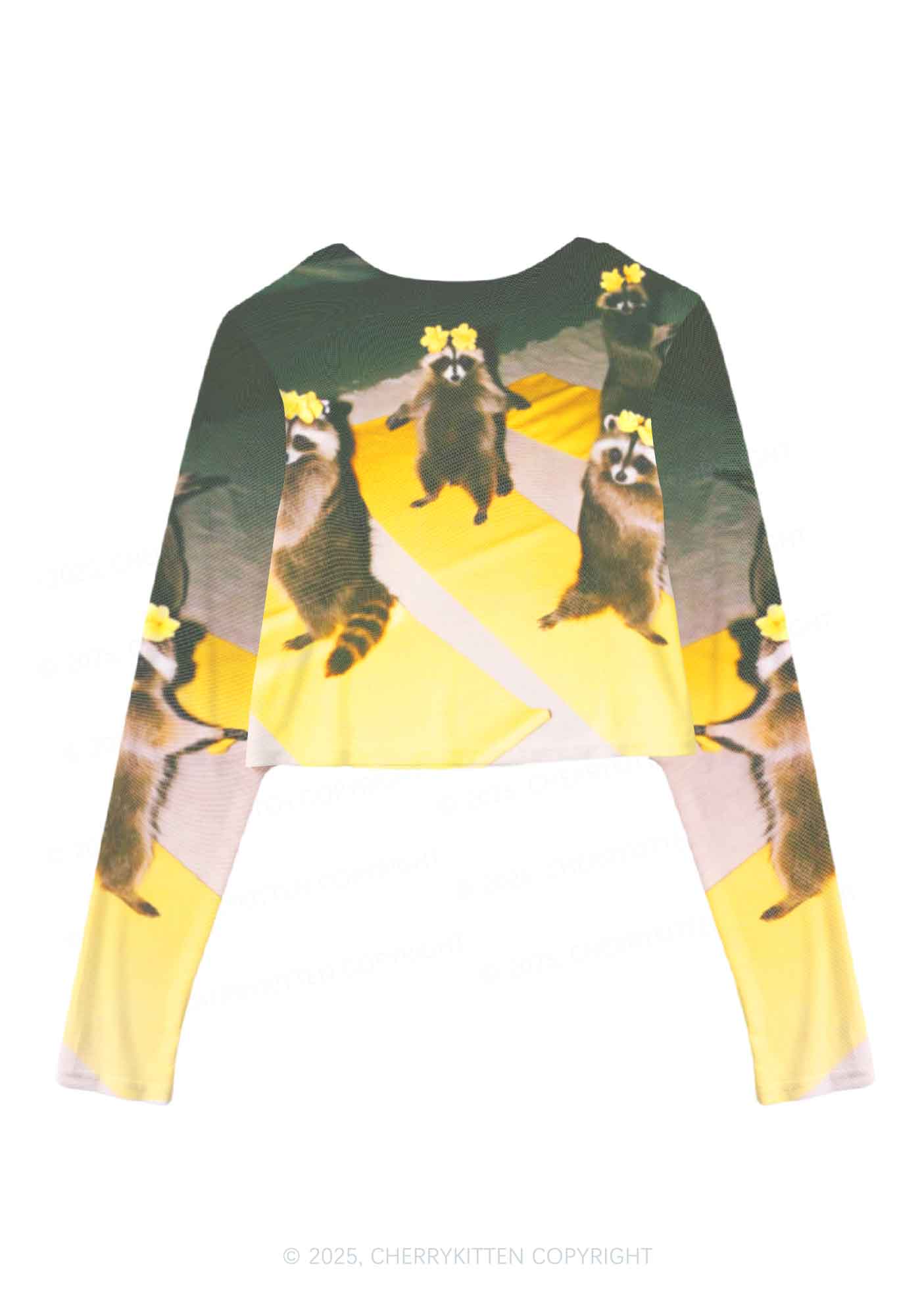 Yoga Raccoon Y2K Mesh Long Sleeve Crop Top Cherrykitten
