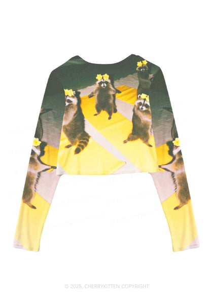 Yoga Raccoon Y2K Mesh Long Sleeve Crop Top Cherrykitten