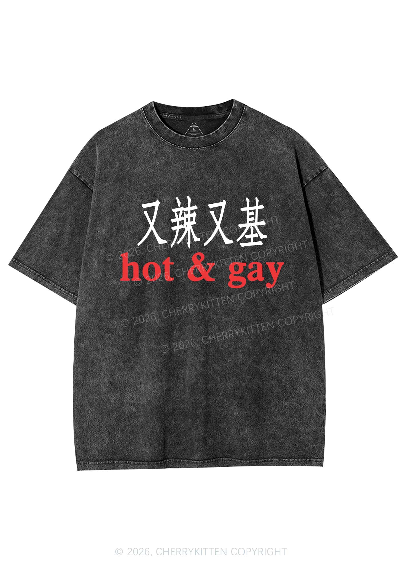 Hot Gay Pride Y2K Shirts Washed Tee Cherrykitten