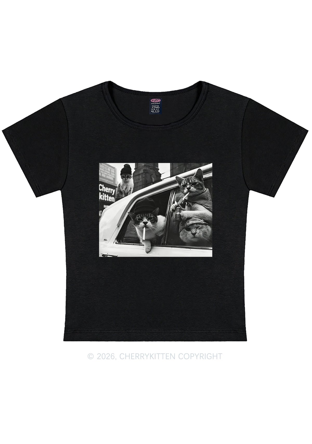 Cats Smoke In Car Y2K Baby Tee Cherrykitten