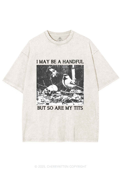 Halloween I May Be A Handful Y2K Shirts Washed Tee Cherrykitten
