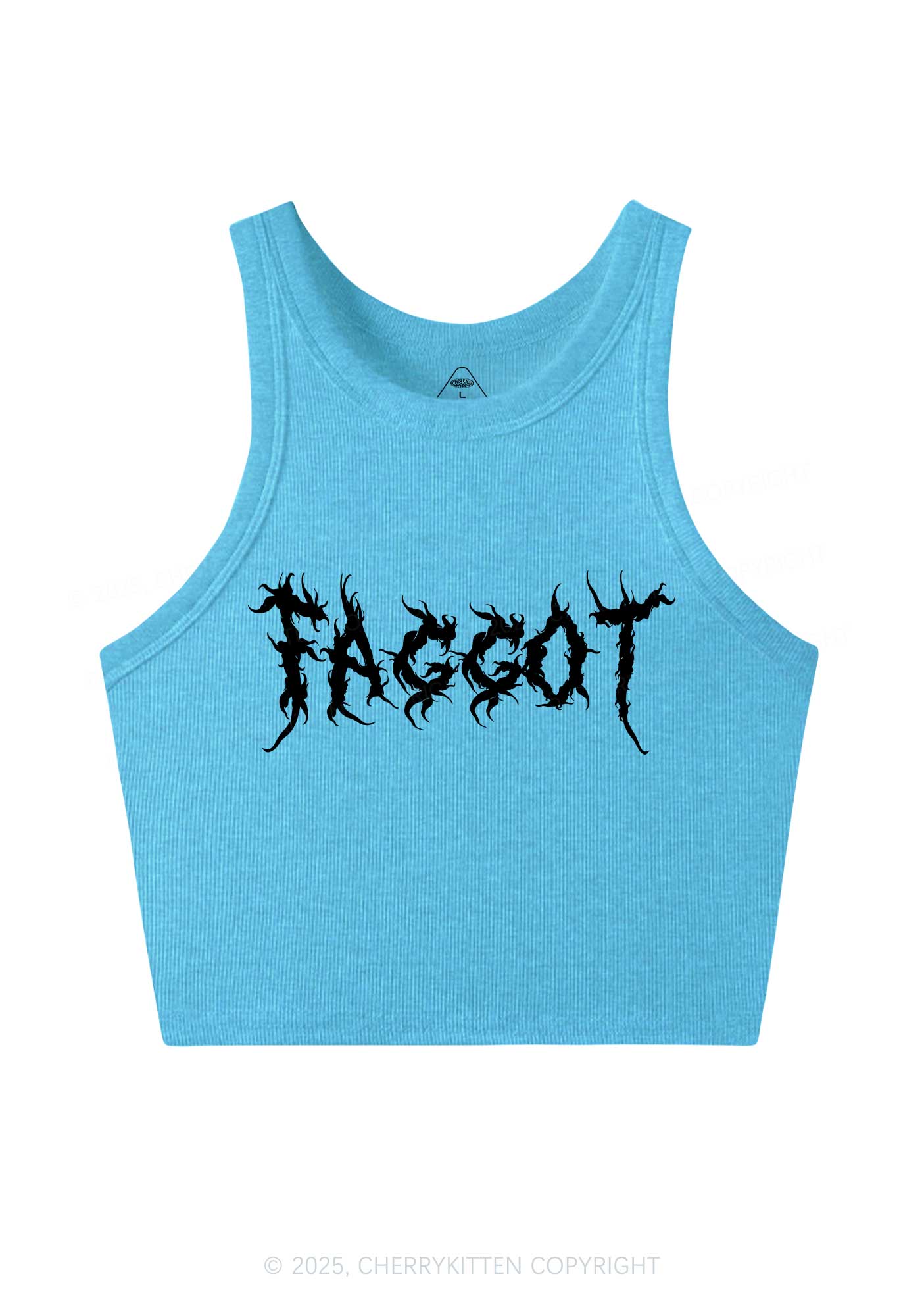 Punk Faggot Pride Y2K Crop Tank Top Cherrykitten