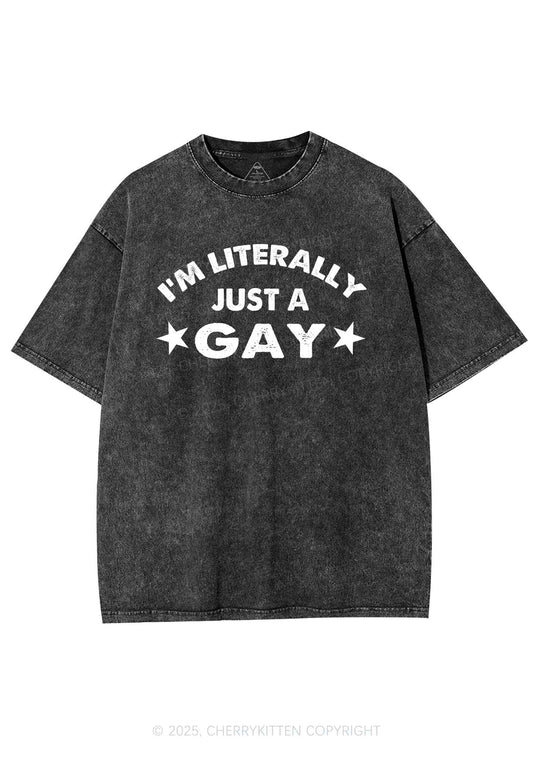 Literally Just A Gay Pride Y2K Shirts Washed Tee Cherrykitten