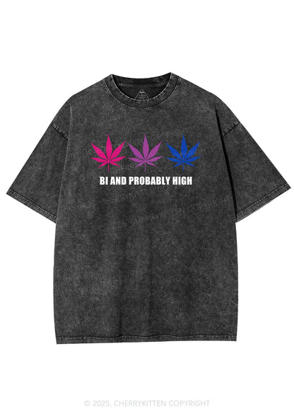 Bi Probably High Pride Y2K Shirts Washed Tee Cherrykitten