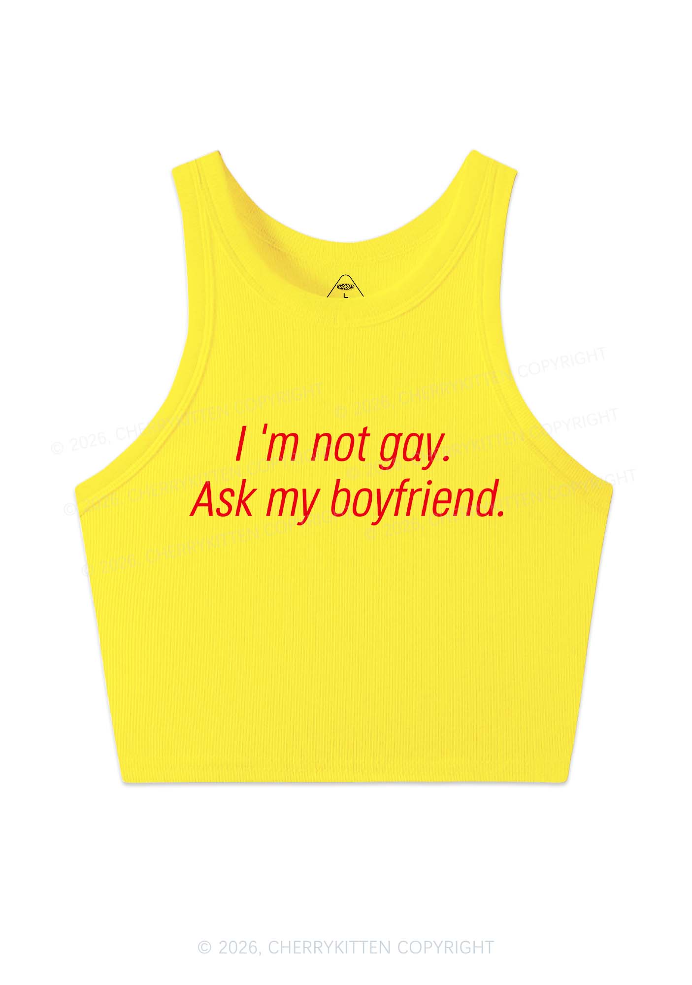 Im Not Gay Pride Y2K Crop Tank Top Cherrykitten