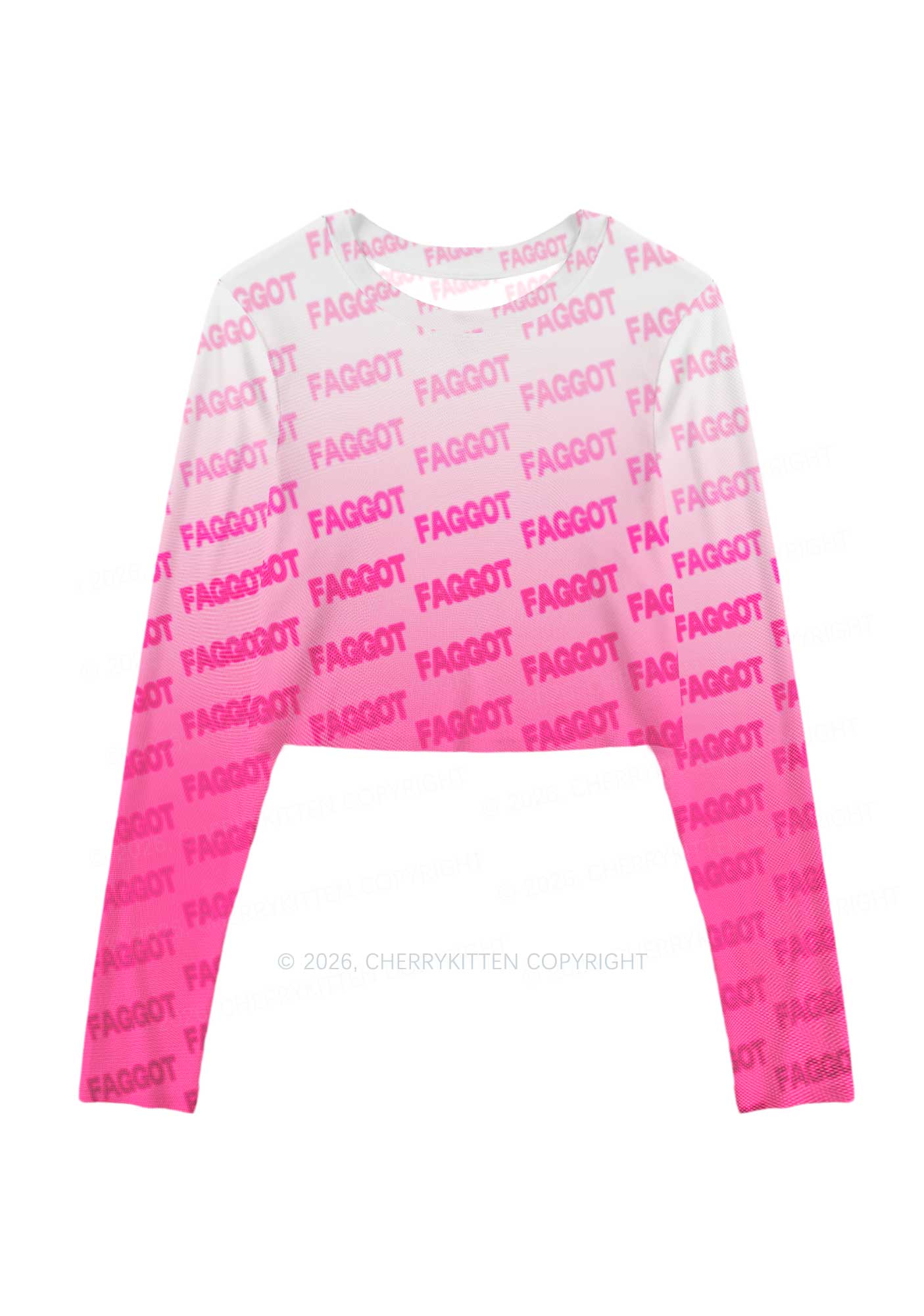 Faded Pink Faggot Pride Y2K Mesh Long Sleeve Crop Top Cherrykitten