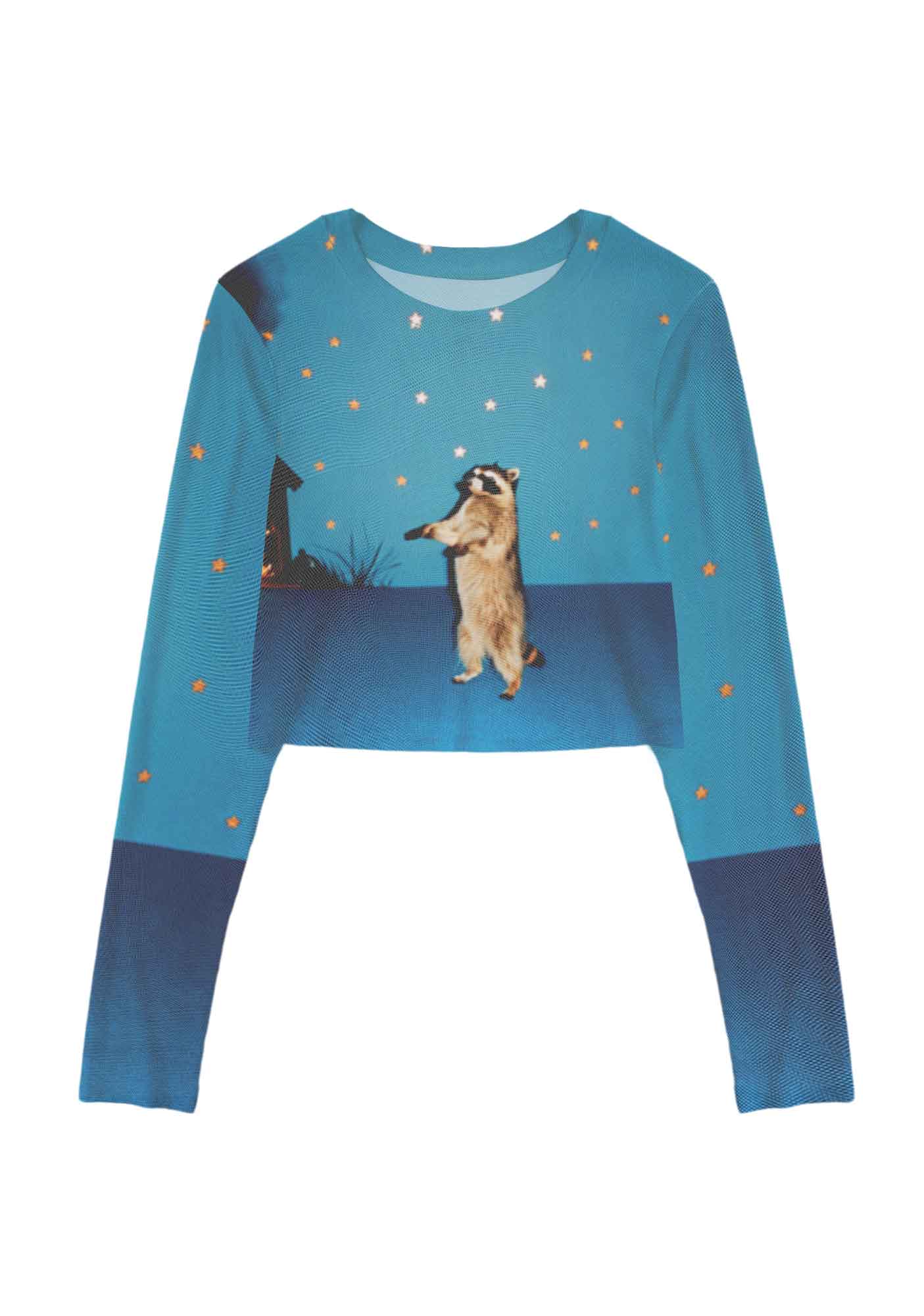Starry Raccoon Y2K Mesh Long Sleeve Crop Top Cherrykitten