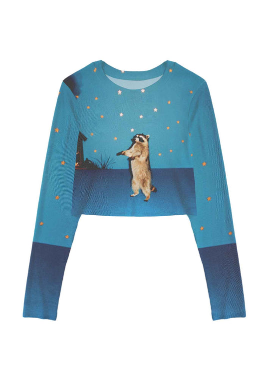 Starry Raccoon Y2K Mesh Long Sleeve Crop Top Cherrykitten