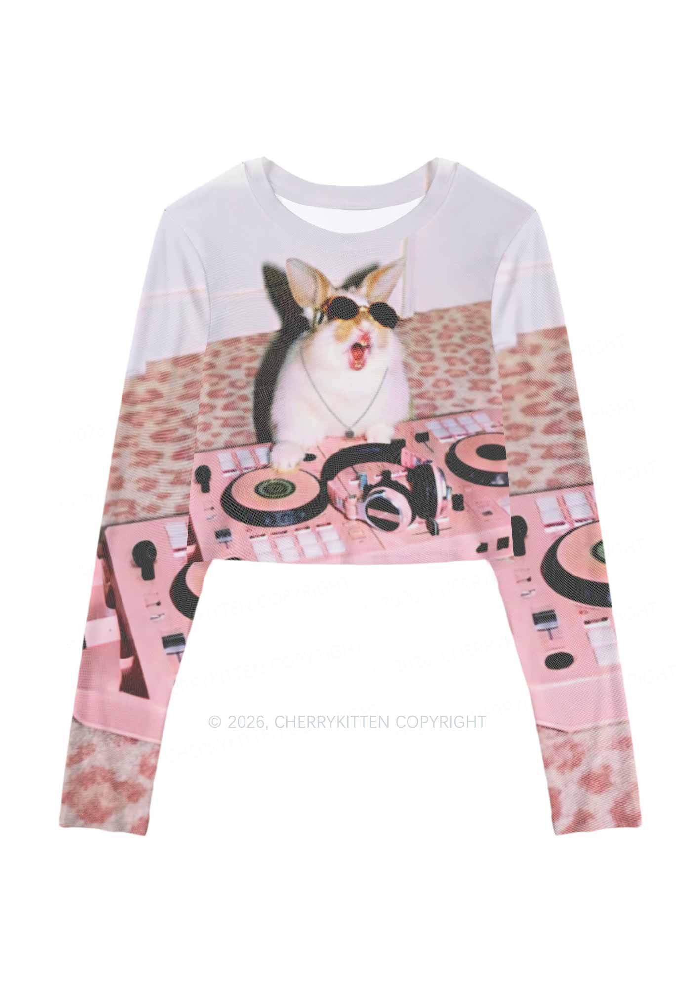 Dj Bunny Y2K Mesh Long Sleeve Crop Top Cherrykitten
