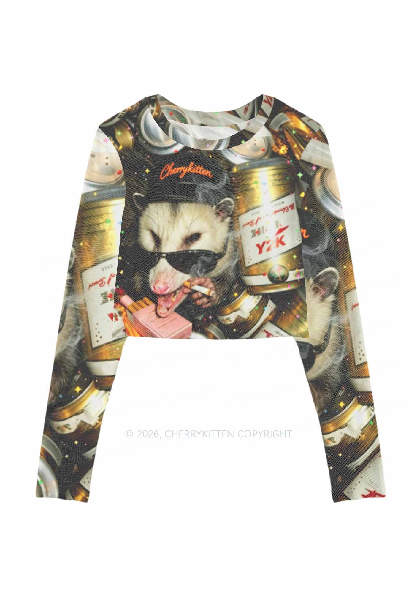 Smoking Opossum Y2K Mesh Long Sleeve Crop Top Cherrykitten